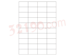 美国安内斯A3651-100 电脑打印标签 预定！