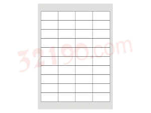 美国安内斯A3657-100 电脑打印标签 预定！