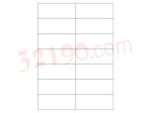 美国安内斯A3653-100 电脑打印标签 预定！