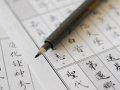 斑马WF-3中楷秀丽笔(黑)签到笔 签字笔