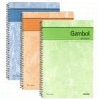 Gambol渡边A5 50页螺旋装订本(S5503/S5507)本子本子