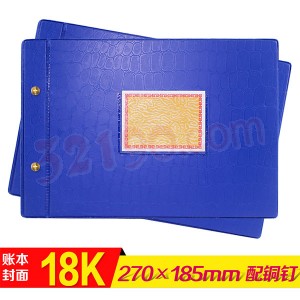 Lixin立信2902-18 18K塑料账夹（10付装/适用于260*182mm账页） 配铜钉！