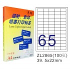 卓联ZL-2856-100电脑打印标签(48.5*18mm)