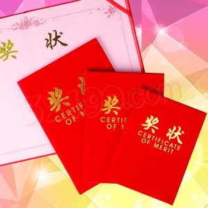 宏祎精品绒面奖状(含内芯)