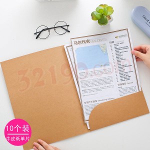 deli得力5917 A4牛皮纸文件套(10个/包) 资料整理收纳套 纸单片
