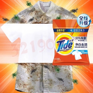 汰渍洗衣粉(约218G)